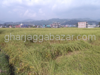 Land on Sale at Bijayapur